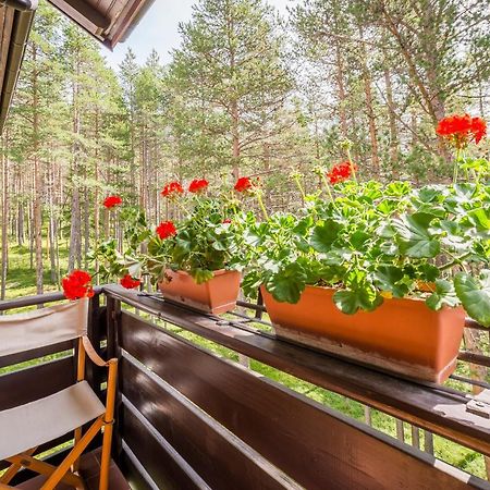 Residence Alice Nel Paese Dell' Armentarola San Cassiano  Zewnętrze zdjęcie